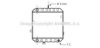 PRASCO SU2029 Radiator, engine cooling